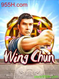Descrição e Regras do Jogo WingChun